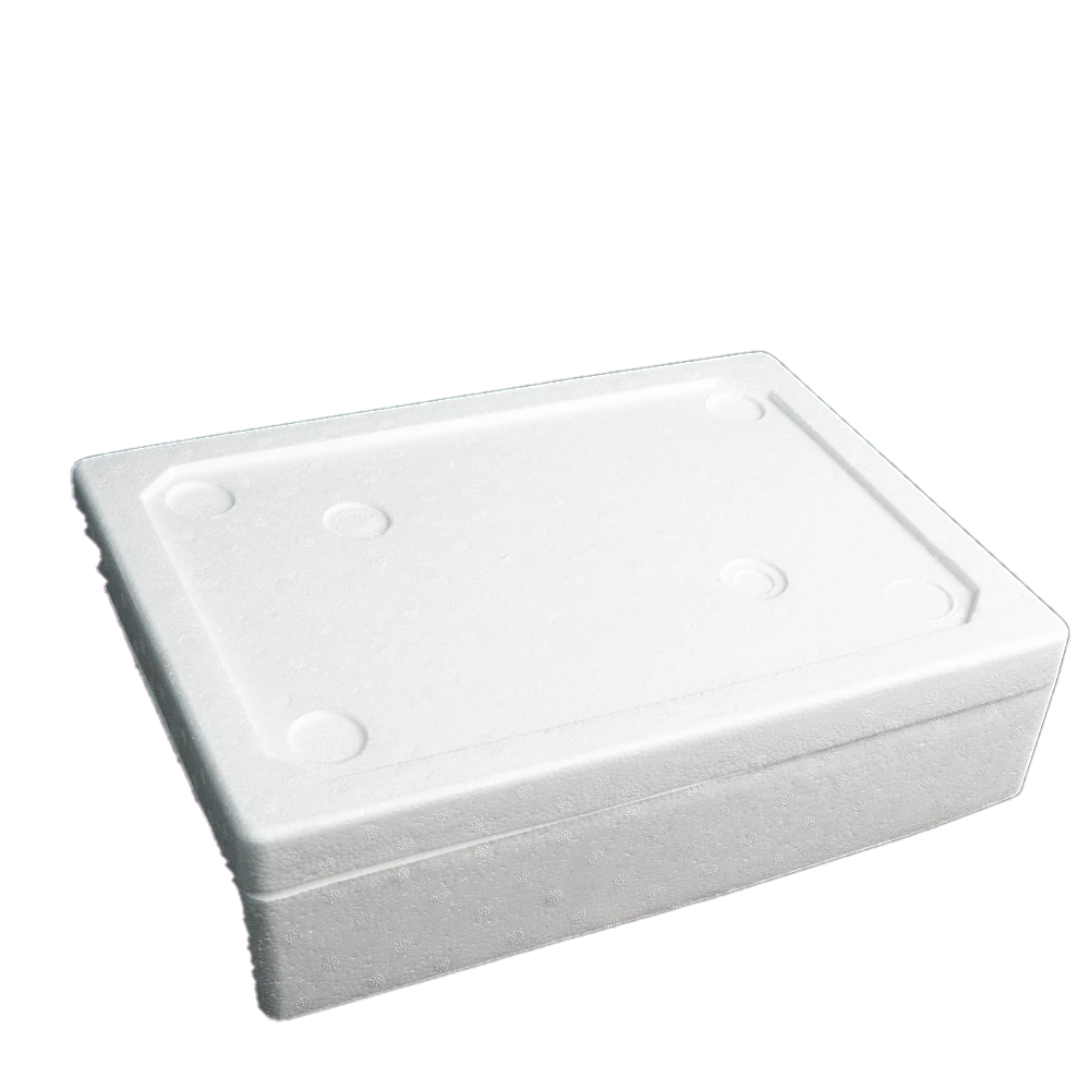 Caja 10 LB cuadrada Durapor de EPS